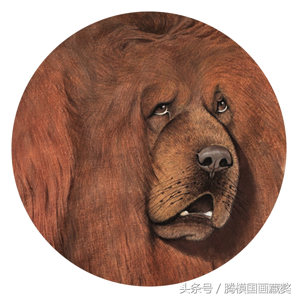 画家具备的能力,成为一名画家需要具备的条件