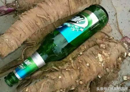 农村返乡创业的真实详细经历,曾经被众人看不起的穷小伙后续