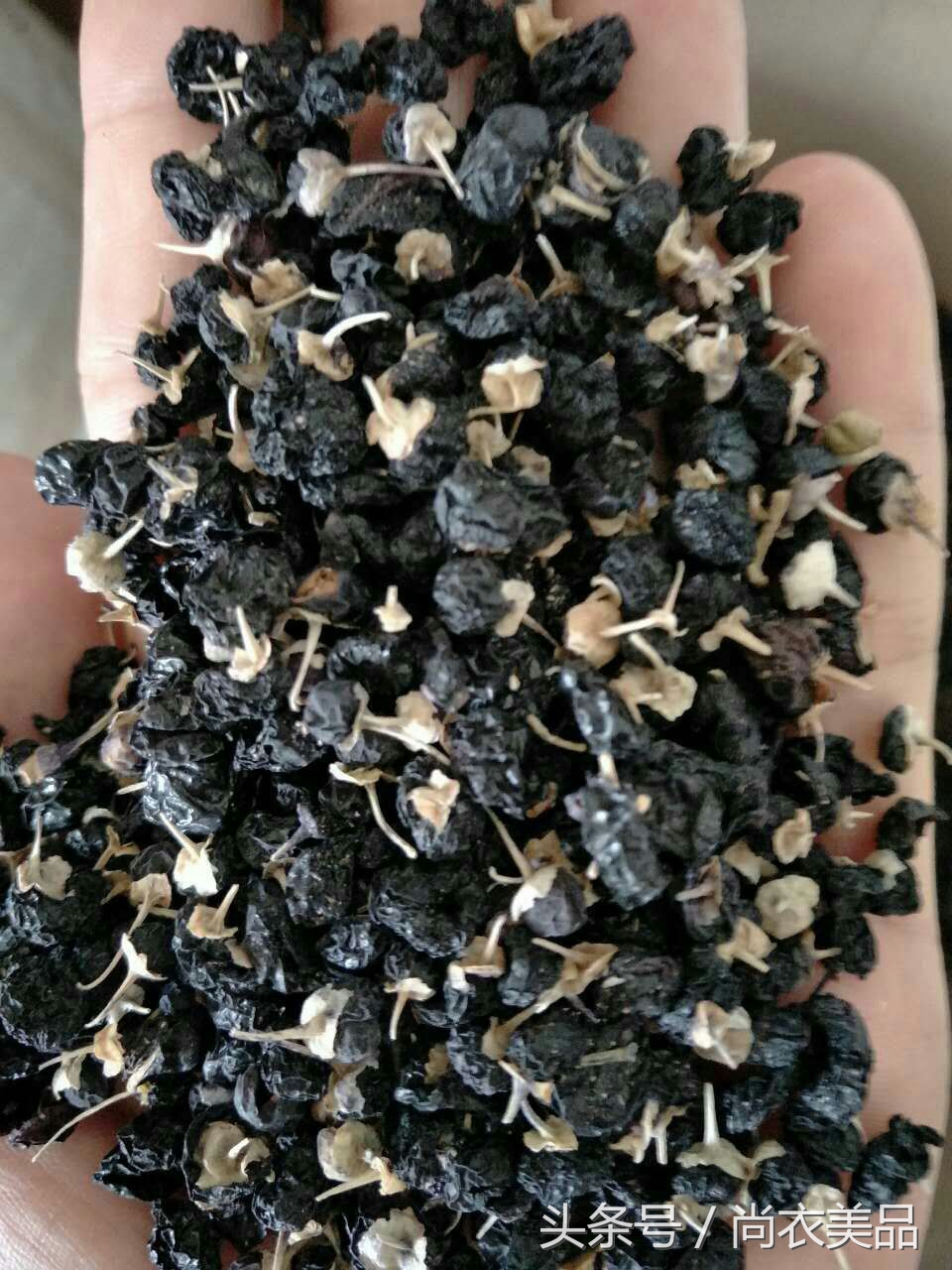 新疆黑枸杞和甘肃黑枸杞哪个好,十大品种黑枸杞