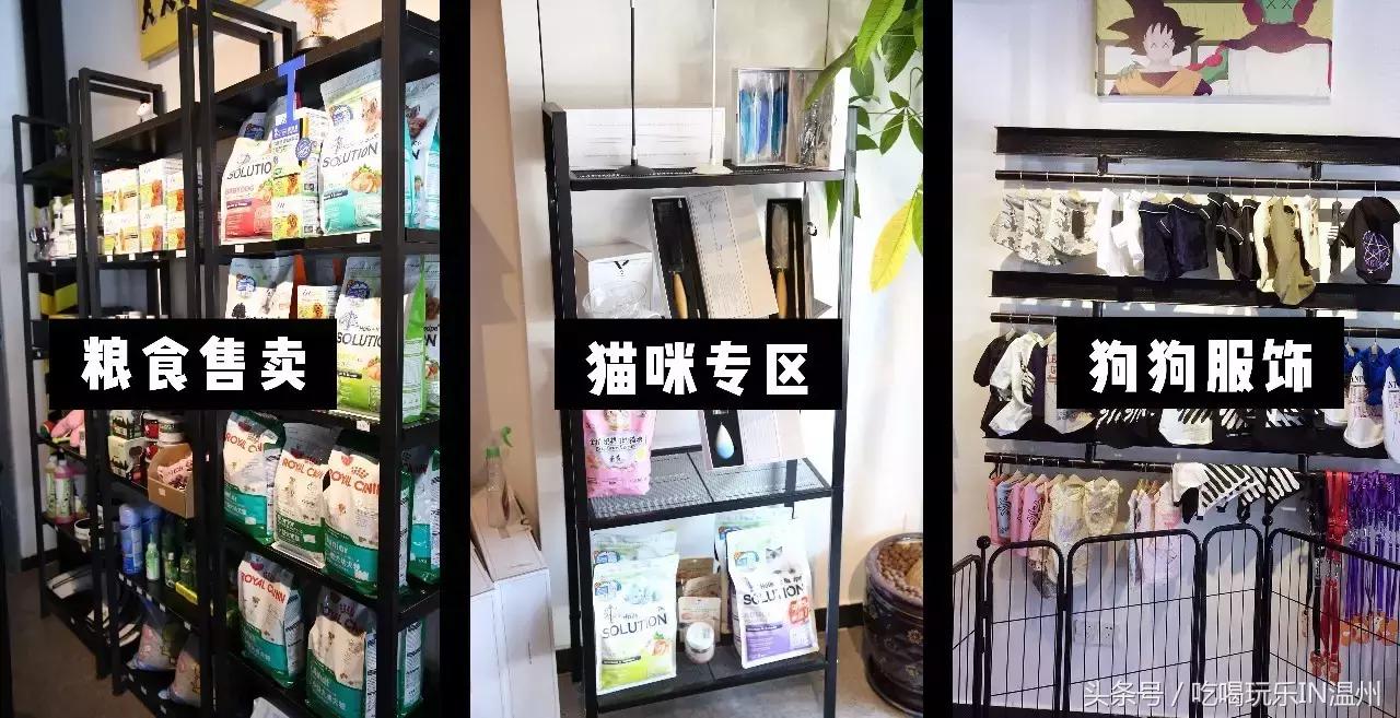 爱狗如命的女孩是什么心理,爱狗如命的女主角