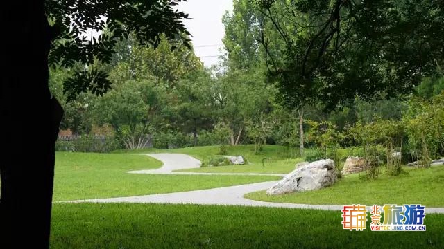 京城最大郊野公园，不仅免费，还藏了好多不为人知的秘密！