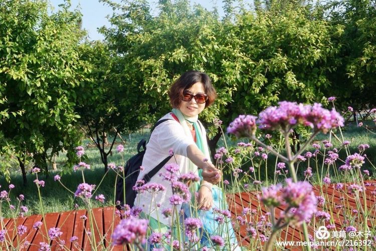 一花一叶总关情，一辆单车游古城，美哉正定！