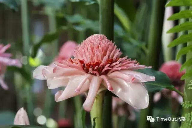 旅行文艺香水,旅行香水推荐