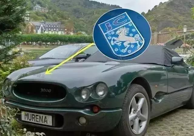 马标车标有什么区别,带马的都是什么车标