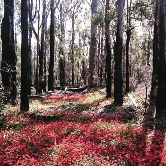 旅行穿搭运动风格,徒步运动怎么搭配衣服