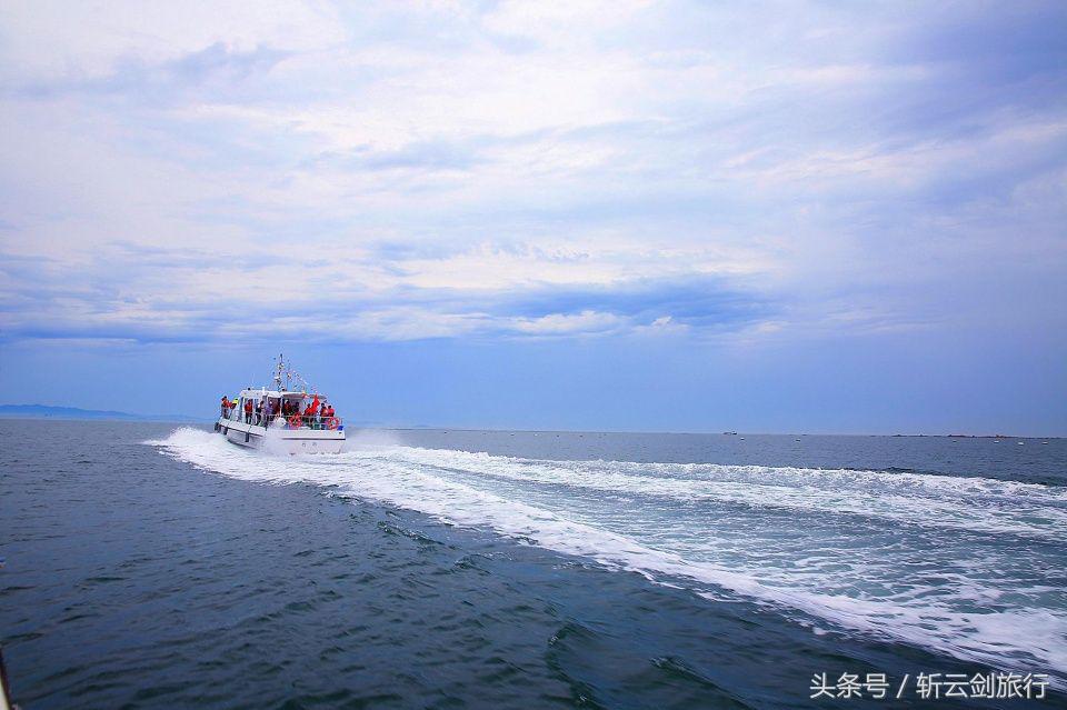 荣成烟墩角天鹅拍摄机位,世界最大天鹅