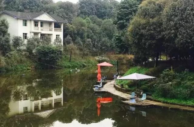 南岸区适合游玩的乡村,南岸乡村旅游