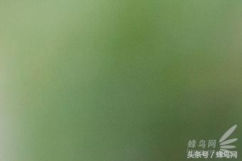 用了20年单反相机,佳能50mm定焦二代和三代区别