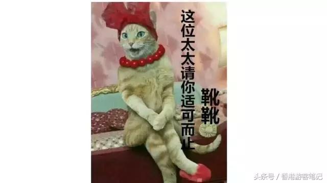 还去香港干嘛?日本都比香港折扣大