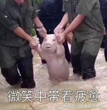 还去香港干嘛？日本都比香港折扣大