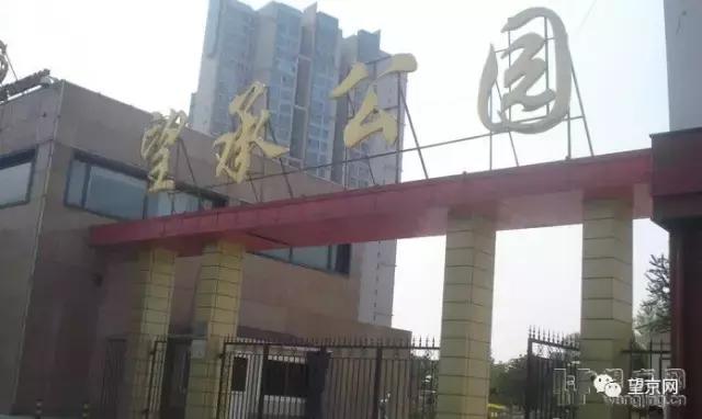 厚积薄发银杏,望京公园和大望京公园哪个好