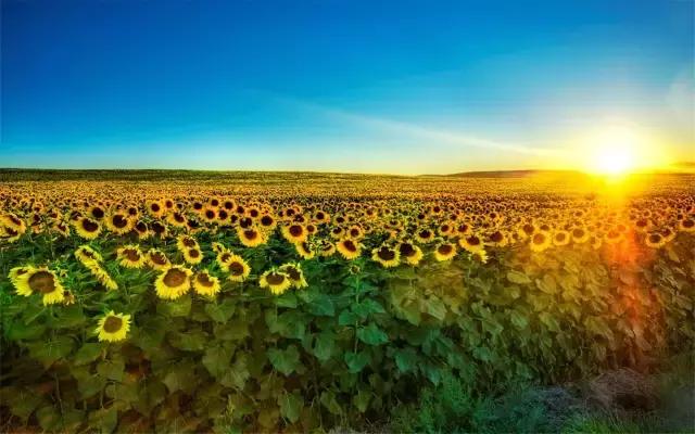 您好，您有一封来自荣成的邀请函，请注意查收！