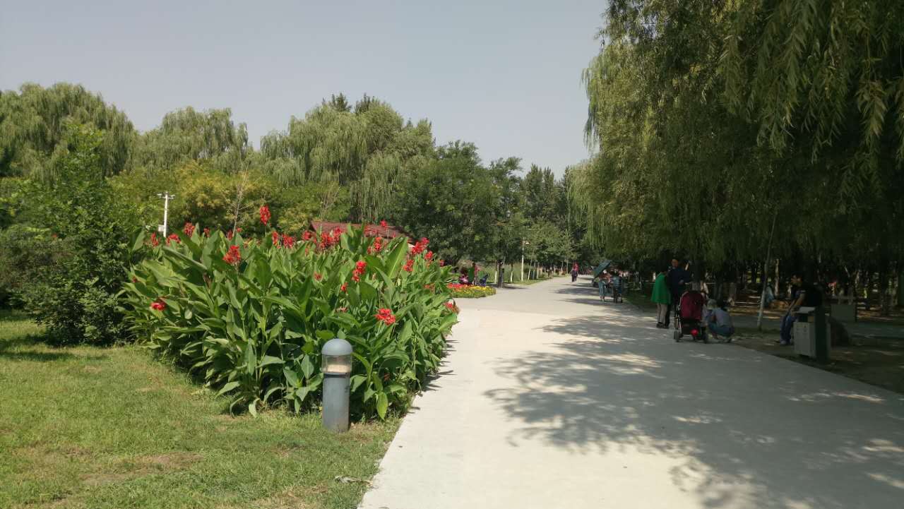 沈阳长白岛森林公园有海吗,游沈阳的长白岛森林公园400字作文