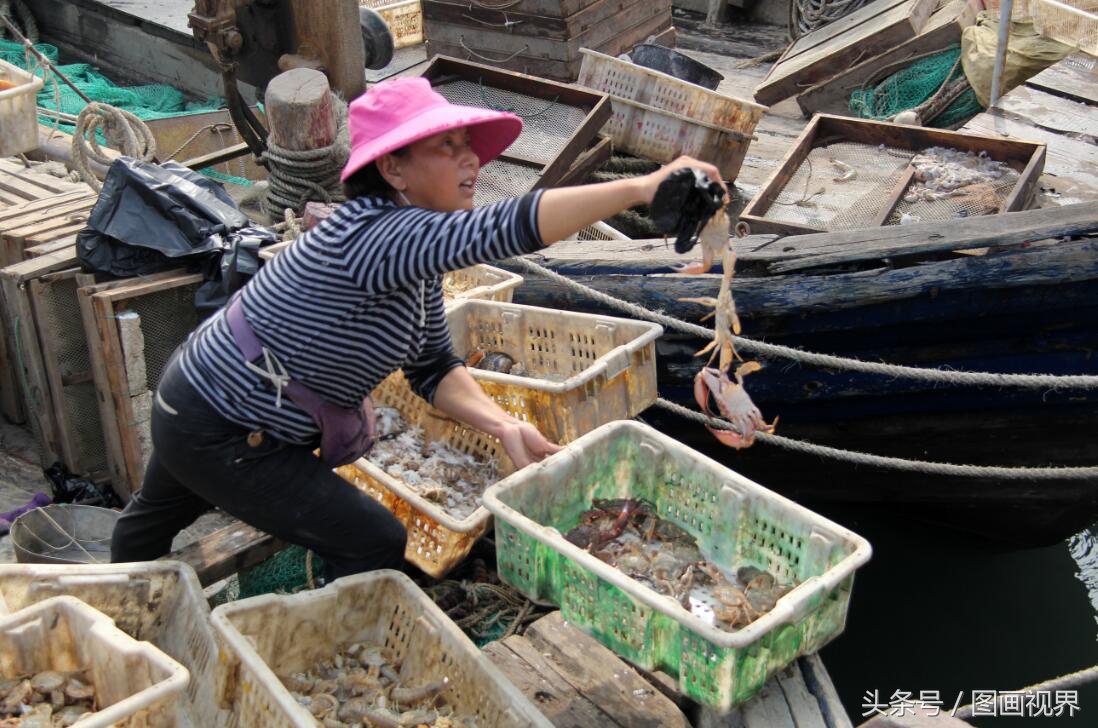 黄渤海有什么海鲜,黄渤海海鲜