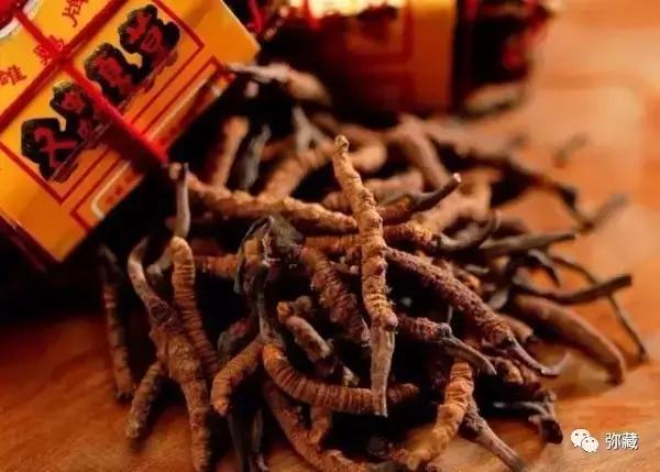 藏西旅游攻略,牢记这几点防止被坑