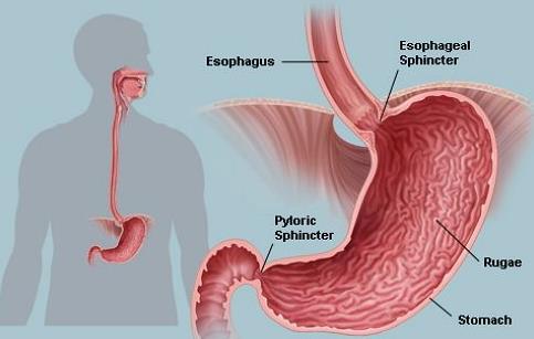 全国有最多的胃癌患者,全国胃癌最好的专家是谁