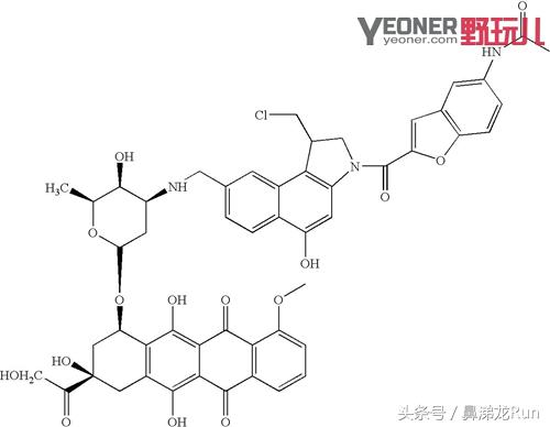 梯度压缩，稳定前行│CompressportR2V2压缩腿套体验测评