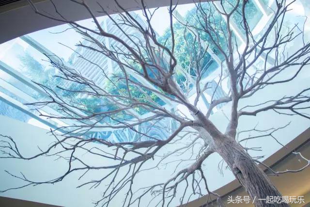 深圳网红十大饮品,深圳喝奶茶的网红