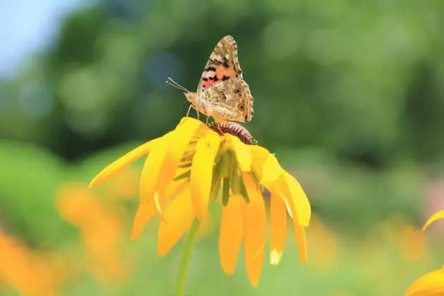 您好，您有一封来自荣成的邀请函，请注意查收！