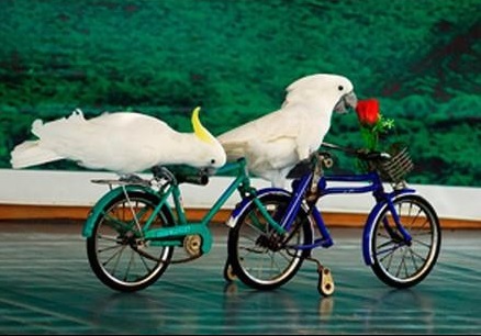 这些误导我们已久的冷门知识,最新冷门的知识