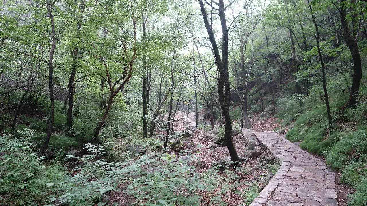 驼梁在石家庄什么地方,石家庄驼梁在石家庄的什么位置