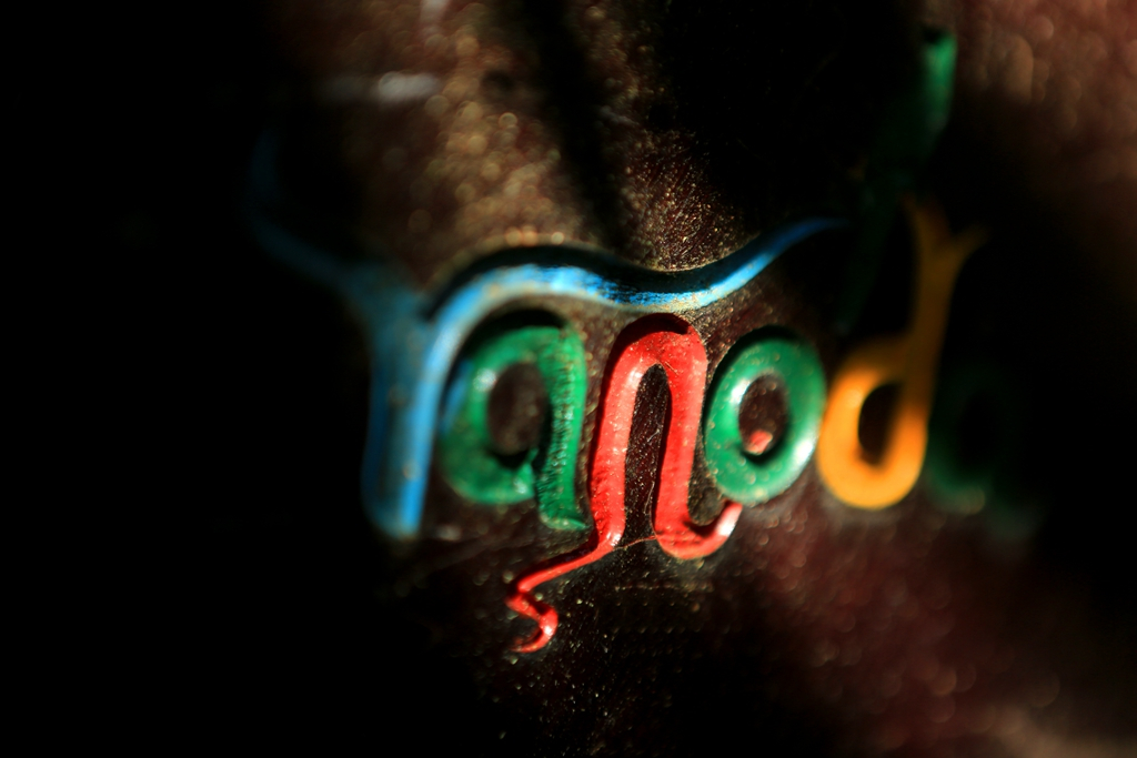 何必去南美，呀诺达热带雨林就有无数宝藏