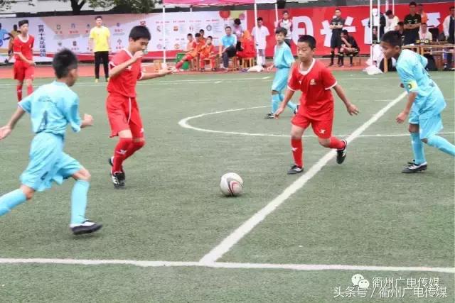 衢州总共有哪几所实验小学,衢州哪些小学初中学校比较好