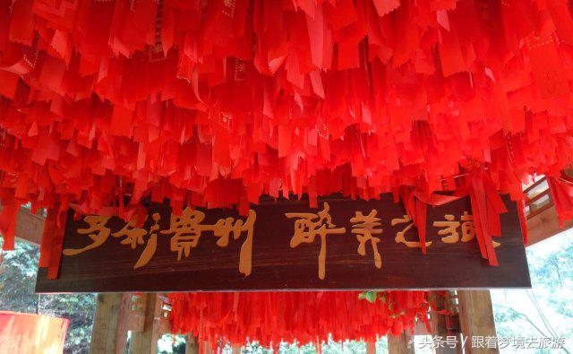 重庆最美黑山谷景区,重庆万盛黑山谷旅游如何