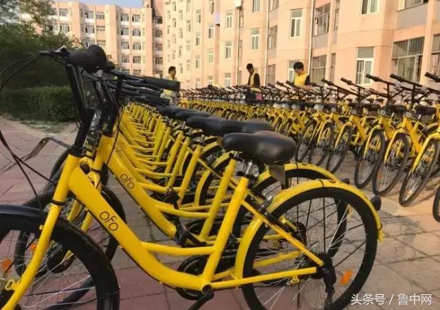 为什么定居淄博,为什么要定居