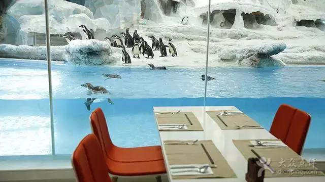 珠海横琴长隆海洋王国有什么,横琴口岸坐车珠海长隆海洋王国