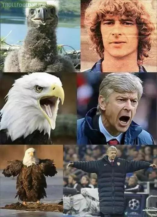 体育界的三大搞笑名场面,体育界最尴尬搞笑20个时刻