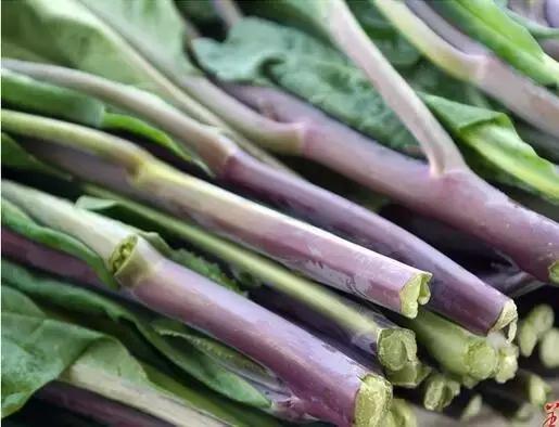 八月菜价大盘点,6成品种上涨带来黄金行情,附广州江南0901菜价