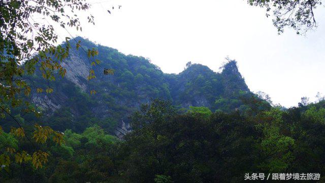 重庆最美黑山谷景区,重庆万盛黑山谷旅游如何