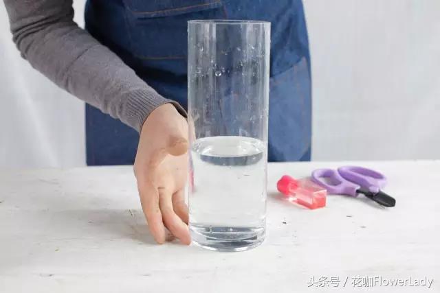 马蹄莲的正确养护方式,怎样才能养护好漂亮雅致的马蹄莲