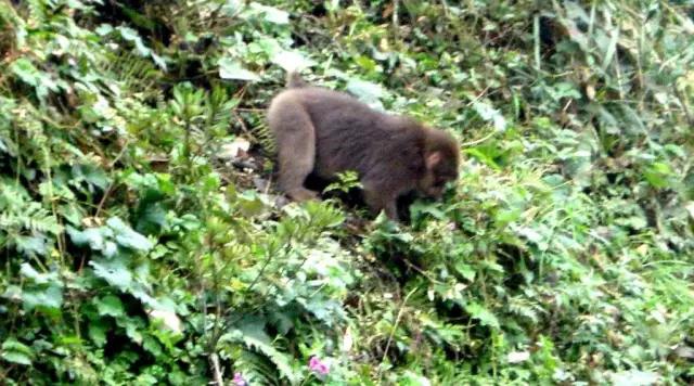 带你体验不一样的异国风情柬埔寨,去柬埔寨探寻神秘而又独特的美