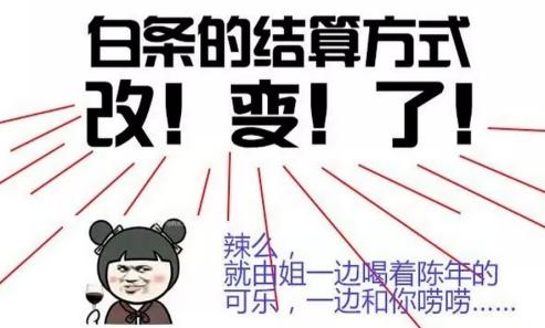 白条账单可以修改吗,白条账单日修改权益怎么使用