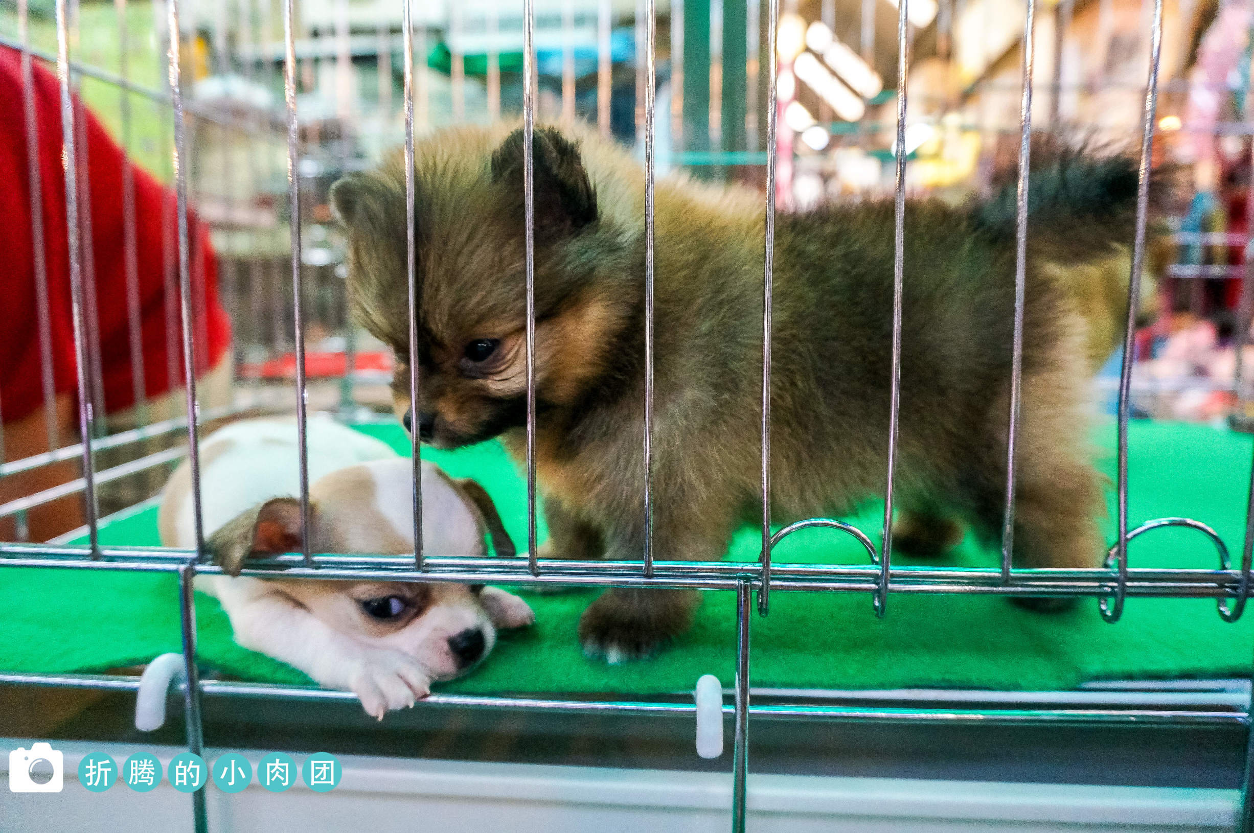 曼谷三榕相机跳蚤市场在哪里,泰国曼谷跳蚤市场攻略