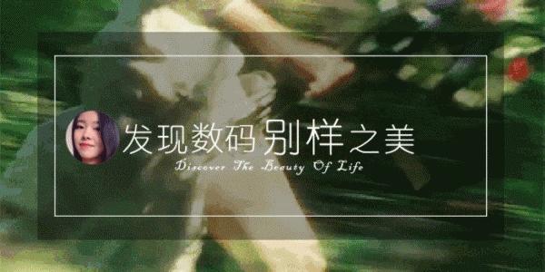 在闲鱼上买二手安卓手机,闲鱼上的二手安卓手机靠谱吗