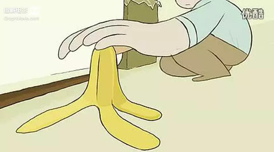 1分钟看完煎蛋饼养只狗狗来做饭狗版の田螺姑娘