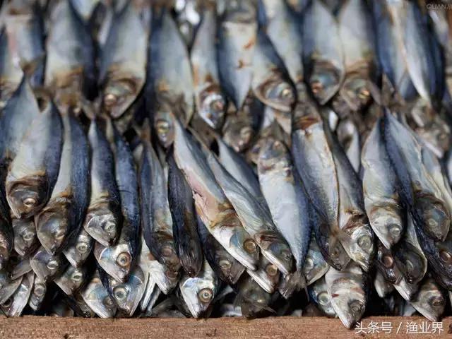 世界十大海鲜市场排名,世界最大的海鲜市场日本