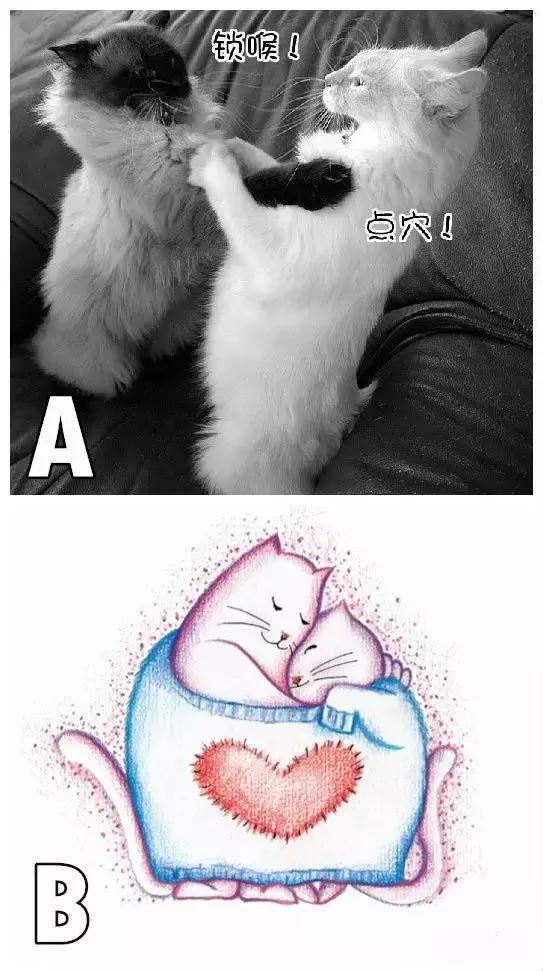 是否适合生二胎测试,测试你会二胎吗