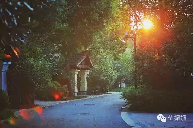 淀山湖日落美景,美丽的淀山湖游一游