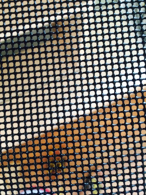 现在不流行防盗网吗,现在年轻人都不装防盗网