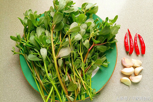 冻马齿苋的吃法大全,干马齿笕的吃法与妙用