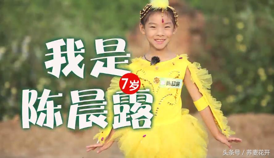 红豆的毒性有多大,红豆毒性是什么