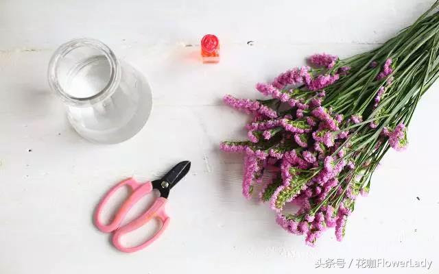 勿忘我如何打理最好,勿忘我怎么养才不会枯萎