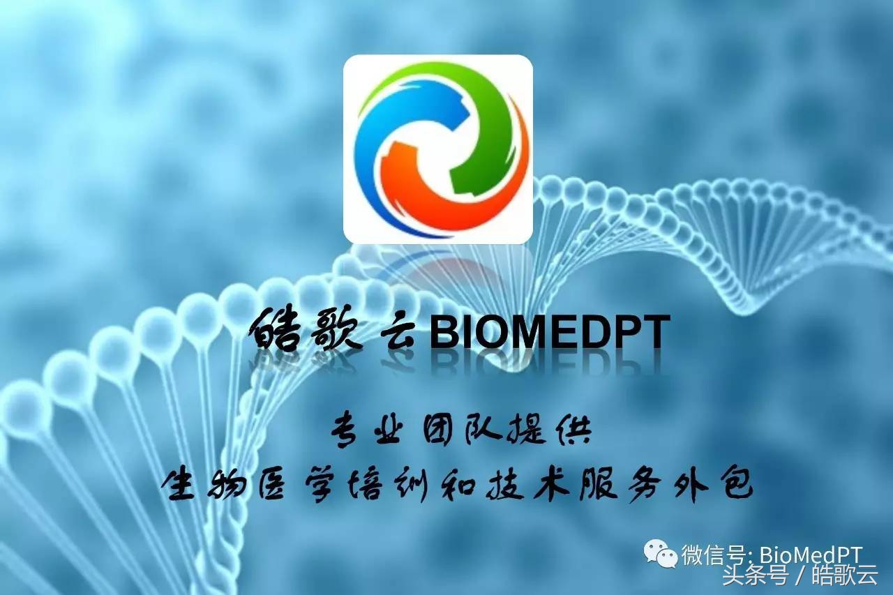 身体器官的英语词汇,成年人英语词汇