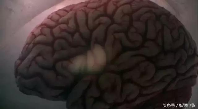 最震撼的纪录片bbc人体的奥秘,人体科普纪录片top10