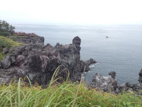 中国驾照可以在国外自驾游吗,国际驾照可以自驾游吗