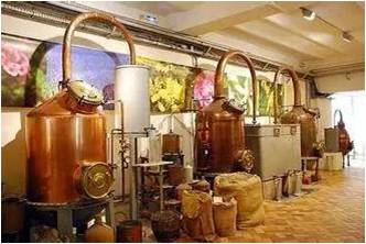 格拉斯小镇,格拉斯玫瑰小镇